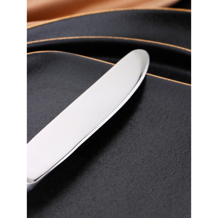 Нож столовый из нержавеющей стали «Беркли», длина 23,8 см, цвет серебряный - фото 1891324402