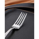 Вилка десертная «Беркли», длина 17 см, толщина 2.5 мм, нержавеющая сталь, серебристая - Фото 2