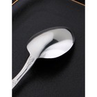Ложка десертная из нержавеющей стали «Беркли», длина 17,5 см, толщина 2,5 мм, цвет серебряный - Фото 4