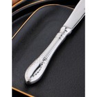 Нож десертный «Беркли», h=20,4 см, цвет серебряный - Фото 3