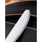 Нож десертный «Беркли», h=20.4 см, серебристый - Фото 4