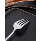 Вилка столовая «Торнбери», h=21.3 см, толщина 7 мм, цвет серебряный - Фото 4