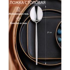 Ложка столовая «Торнбери», длина 21 см, толщина 7 мм, нержавеющая сталь, серебристая - Фото 1