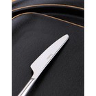 Нож десертный «Торнбери», длина 19,6 см, толщина 7,5 мм, цвет серебряный - Фото 2