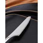 Нож десертный «Торнбери», длина 19,6 см, толщина 7,5 мм, цвет серебряный - Фото 4