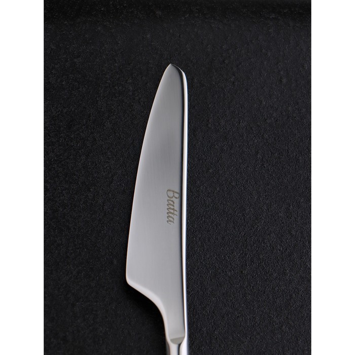 Нож десертный «Торнбери», длина 19,6 см, толщина 7,5 мм, цвет серебряный - фото 1889843799