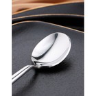 Ложка чайная «Торнбери», длина 14,5 см, толщина 5 мм, цвет серебряный - фото 53815949