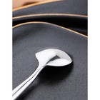 Ложка кофейная из нержавеющей стали «Торнбери», длина 11,7 см, толщина 5 мм, цвет серебряный - Фото 4