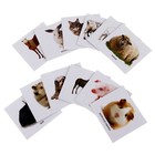 Обучающие карточки «Домашние животные», 12 карточек - Фото 2