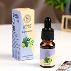 Эфирное масло «Бергамот», удобный дозатор, 10 мл, «Богатство Аромата» - Фото 1