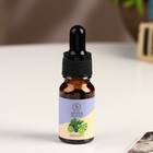 Эфирное масло «Бергамот», удобный дозатор, 10 мл, «Богатство Аромата» - Фото 2