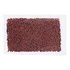 Мотыль ICY, гранулированный, с кровью и экстрактом мотыля, 3 мм, 200 г (комплект 2 шт) - фото 27136873 Мотыль ICY, гранулированный, с кровью и экстрактом мотыля, 3 мм, 200 г (комплект 2 шт) - фото 27136873