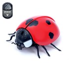 УЦЕНКА Животное радиоуправляемое «Божья коровка», работает от батареек, световые эффекты 9158813