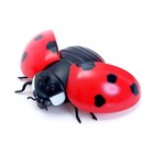 УЦЕНКА Животное радиоуправляемое «Божья коровка», работает от батареек, световые эффекты 9158813