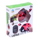 УЦЕНКА Животное радиоуправляемое «Божья коровка», работает от батареек, световые эффекты 9158813