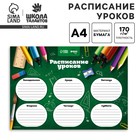 Расписание уроков «Школьная пора» А4 - Фото 1