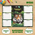 Расписание уроков «Величественный тигр» А4 - фото 9847876