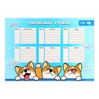 Расписание уроков «Корги Джекки» А3 - Фото 2