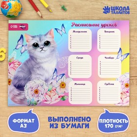 Расписание уроков «Воздушное чудо» А3 9084465