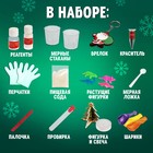 Набор для опытов «Новогодняя лаборатория», 10 опытов, 16 предметов - Фото 2