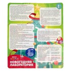 Набор для опытов «Новогодняя лаборатория», 10 опытов, 16 предметов - Фото 11
