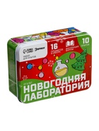 Набор для опытов «Новогодняя лаборатория», 10 опытов, 16 предметов - Фото 13