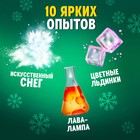 Набор для опытов «Новогодняя лаборатория», 10 опытов, 16 предметов - Фото 3