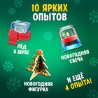 Набор для опытов «Новогодняя лаборатория», 10 опытов, 16 предметов - Фото 4