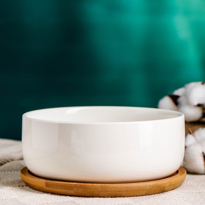 Горшок для кактусов и суккулентов «Эко Бонсай» керамический, 800 мл, 17×7 см, с деревянной подставкой, белый