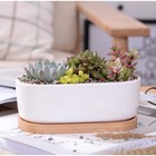 Горшок для кактусов и суккулентов «Эко бонсай», 500 мл, 17×9×6 см, керамика, с поддоном, белый - Фото 4
