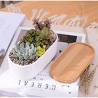 Горшок для кактусов и суккулентов «Эко бонсай», 500 мл, 17×9×6 см, керамика, с поддоном, белый - Фото 5