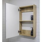 Зеркало шкаф для ванной комнаты «Айсберг. Мечта 50»,504×694 мм, цвет дуб сонома - Фото 2