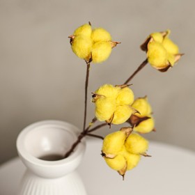 Декор сухоцвет "Хлопок" d-5 см, 30 см, желтый