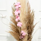 Декор сухоцвет "Хлопок" розовый d-5 см, 70 см - фото 9848640