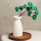 Набор сухоцветов «Хлопок», зеленый, Ø5 см, 30 см, 10 шт - фото 26602571