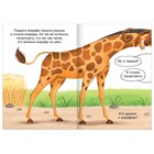 Книга- игра «Кто съел тыкву», 24 стр. - фото 31233554