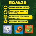 Развивающий набор «Животные Африки», 10 тактильных карточек, 3+ - Фото 2