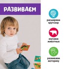 Развивающий набор «Животные Африки», 10 тактильных карточек, 3+ - Фото 5