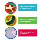 Развивающий набор «Животные Африки», 10 тактильных карточек, 3+ - Фото 6