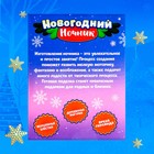 Набор для творчества «Новогодний ночник. Дед Мороз», с игрушкой - Фото 4