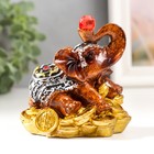 Фигурка полистоун «Слоник с рубином на монетках», 8×6.5×8.5 см - Фото 1