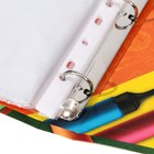 Папка школьная на кольцах «Портфолио школьника», 6 листов-разделителей, 24.5×32 см - Фото 6