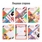 Папка школьная на кольцах «Портфолио школьника», 6 листов-разделителей, 24.5×32 см - Фото 3