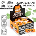 Жевательная резинка «Че-нибудь пожевать», вкус: мята, в шоубоксе, 1.36 г × 50 шт. - Фото 1