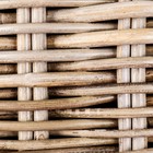 Кашпо плетёное "Элитная" с пластиковым отделением, 55х30х22 см, ротанг - фото 24549563