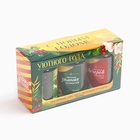 Чай подарочный новогодний «Уютного года», вкусы: мята, яблочный штрудель, чабрец, 150 г (набор 3 шт.×50 г) - Фото 8