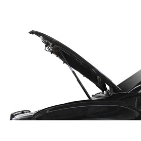 

Газовые упоры капота АвтоУпор, Hyundai Creta II 2021-н.в., 2 шт., UHYCRE021