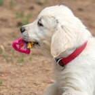 Игрушка «Сердечко с канатом», 7 см, розовое - Фото 5