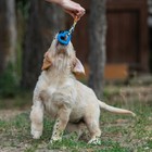 Игрушка «Сердечко с канатом», 7 см, голубое - Фото 5