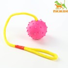 Игрушка мяч на веревке, 6 см, розовая - фото 299651935